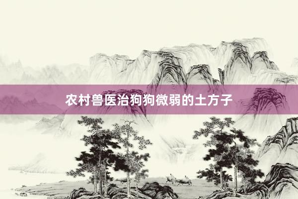 农村兽医治狗狗微弱的土方子