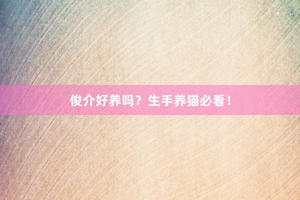俊介好养吗？生手养猫必看！